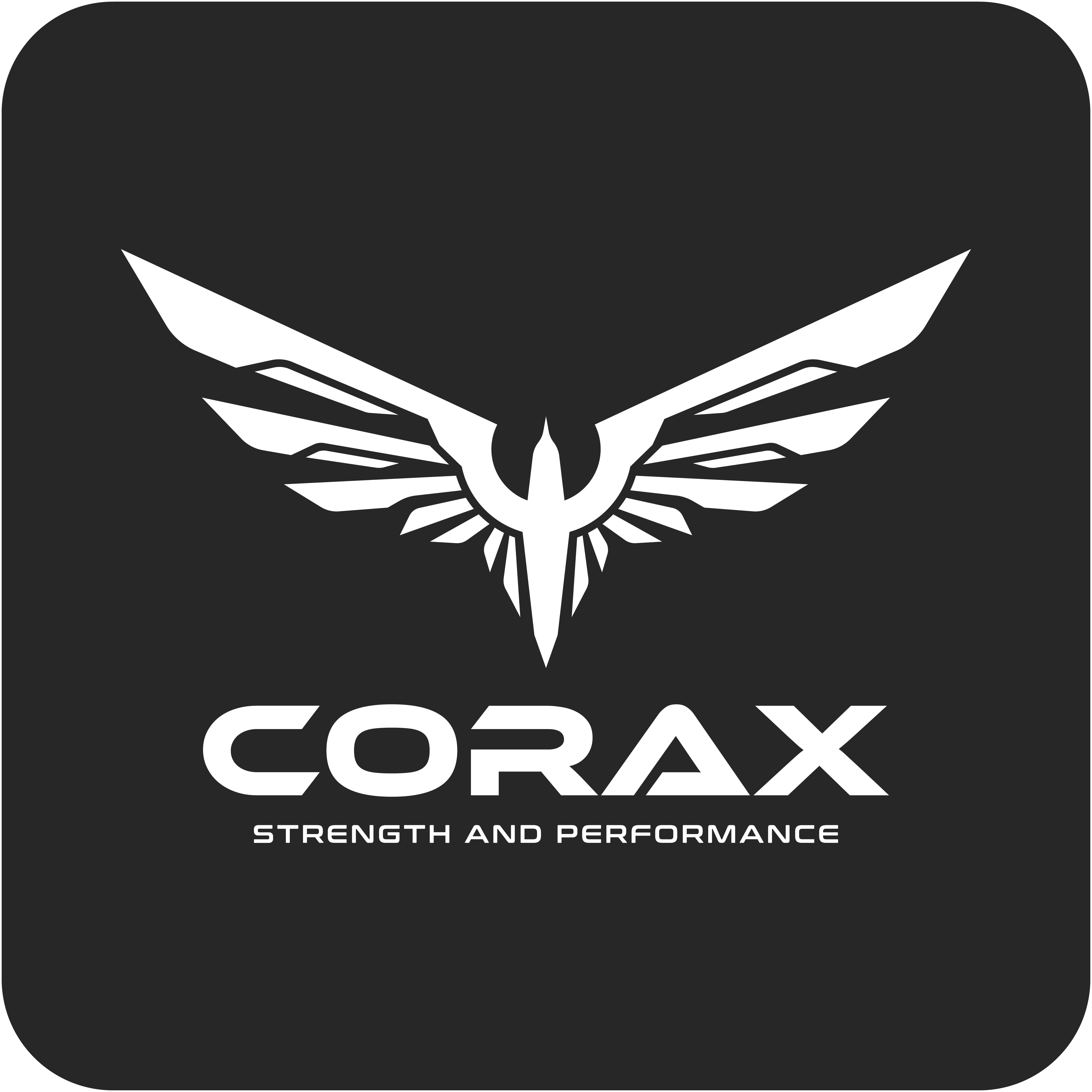 corax logo footer